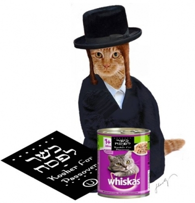 Chat-Pessa'h 2