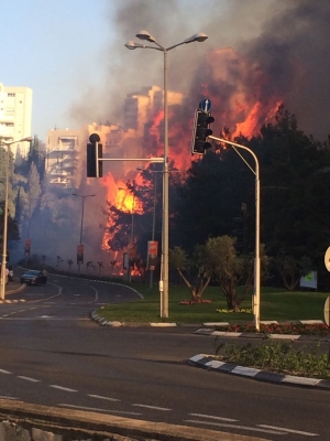  Les incendies ont été particulièrement violents sur le Mont Carmel et dans la ville portuaire de Haïfa (photo : Lior Rosenthal)