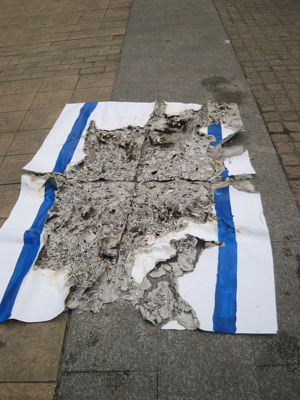  On commence par brûler les drapeaux israéliens puis on poste la photo sur Facebook ou d'autres réseaux sociaux (photo : 27zapata / Imanol Epelde Pagola/ Wikimedia commons)