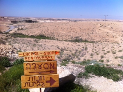Un nombre croissant de fromageries s’installent dans le désert du Néguev (photo : KHC).