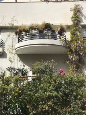 Jardin d’un bâtiment Bauhaus à Tel-Aviv (photo : KHC).