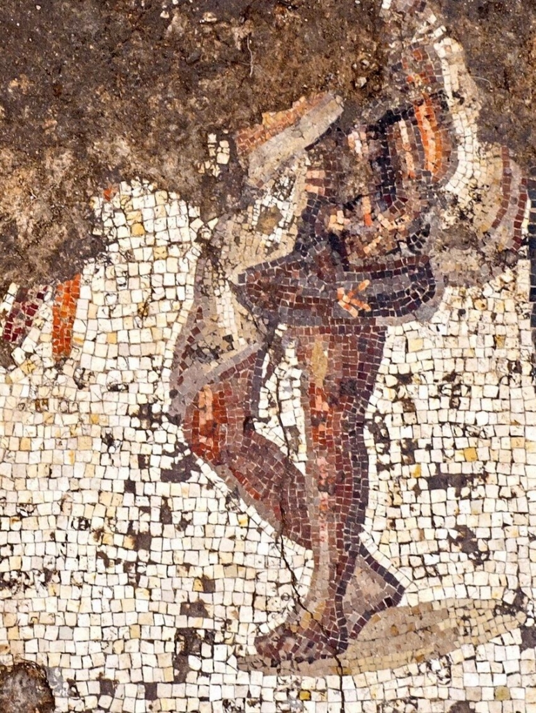 Un fragment de la mosaïque mise à jour (photo : Autorité israélienne des antiquités)