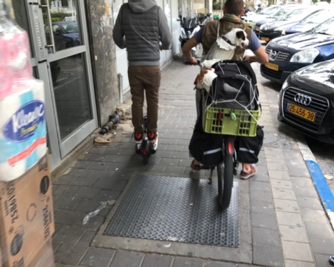 Une vision courante à Tel-Aviv : sur son vélo électrique ce conducteur lourdement chargé transporte en outre trois chiens et roule sur le trottoir (photo :  KHC).