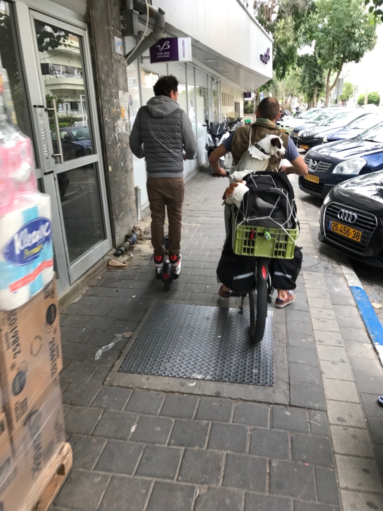 Une vision courante à Tel-Aviv : sur son vélo électrique ce conducteur lourdement chargé transporte en outre trois chiens et roule sur le trottoir (photo :  KHC).