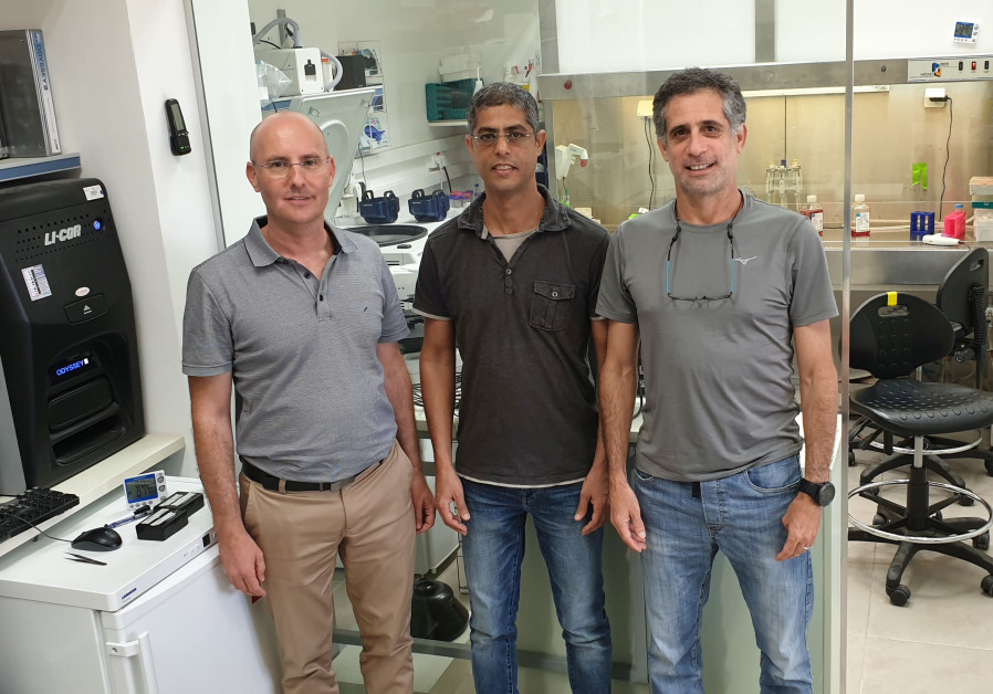Les microbiologistes professeur Udi Qimron, Dr Ido Yosef et Dr Motti Gerlic (de gauche à droite) sont parvenus à influer sur le sexe d’embryons de souris (photo : université de Tel-Aviv).