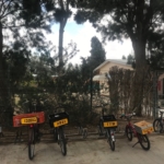 Vélos non cadenassés mais portant le nom de leur propriétaire dans un kibboutz en Israël                            (Photo : KHC)