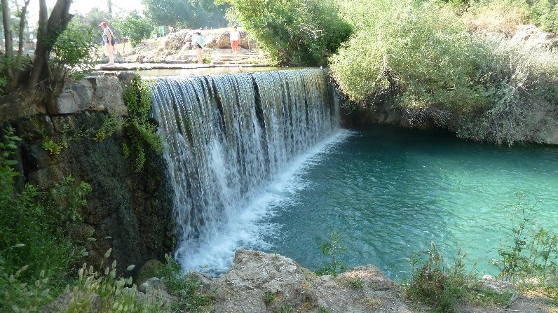 Sources Sachne dans le parc national de Gan HaShlosha - photo : GIS.