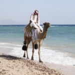 Image de carte postale du Sinaï (photo : Pixabay).