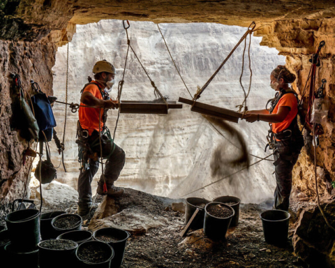 Collaborateurs de l’Autorité israélienne des antiquités lors des fouilles dans la Grotte de l’horreur (photo : Eitan Klein, Autorité israélienne des antiquités)