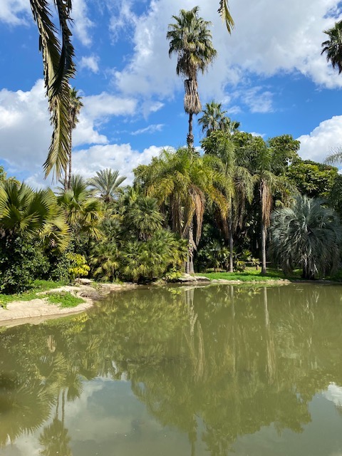 Israël regorge de beaux paysages comme le jardin tropical au nord de Tel-Aviv (photo : KHC)