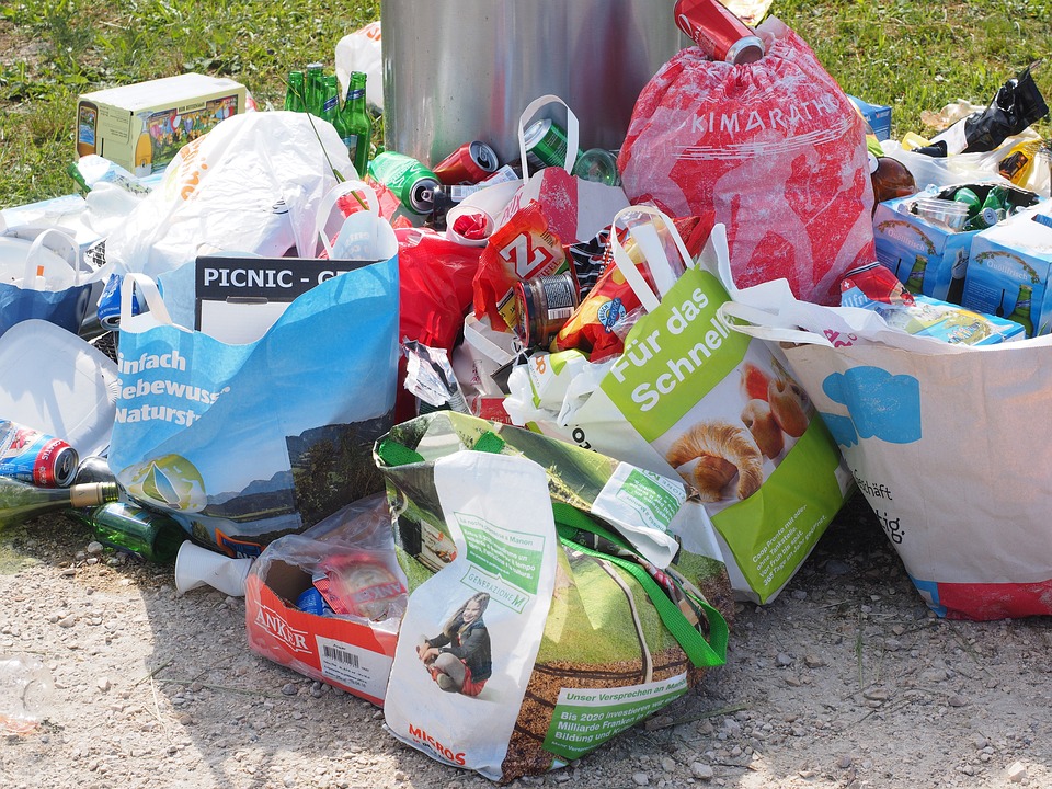 En Israël, plus d’un tiers de la nourriture finit à la poubelle (photo : Pixabay)